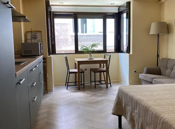 Estudio Castellana Norte Con Parking